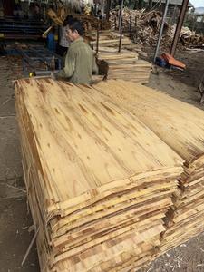 Láminas de Chapa de Eucalipto Vietnamita 100% Natural, Corte Rotatorio, para Paneles de Muebles, Ecológicas - Product Image 2