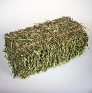 Foin de Timothy certifié, ensaché |   Prix compétitif |   Sans pesticides |   Pour la production d'aliments pour chevaux, animaux et animaux de compagnie |   Exportateur - Product Image 3