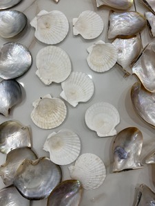 Collection de coquillages du Vietnam, art populaire écologique, fabriqué à partir de coquillages naturels, pour la décoration de plage, artisanat fait main, décoration d'événements - Product Image 5