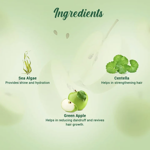 Shampooing et après-shampooing aux herbes vertes douces, formule cosmétique pour une texture lisse, une brillance éclatante, des cheveux sains et radieux - Product Image 3