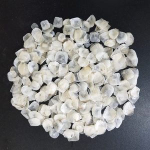 เกล็ดปลาทิลาเปียคุณภาพสูง เกรด A ตากแห้งด้วยแสงแดด สำหรับทำอาหาร - Product Image 6