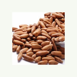 Pignons de pin de qualité supérieure, très demandés, disponibles en emballage personnalisé - Product Image 5