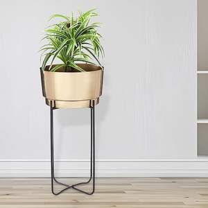 Maceta de hierro Premium Basics con soporte (Juego de 2) para usar en habitaciones, dormitorios y oficinas, para exportación mundial desde India. - Product Image 5