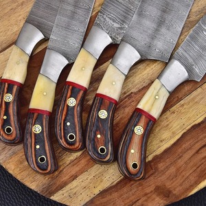Handmade Damascus Steel <b>Knife</b> Set with Camel <b>Bone</b> & Wood <b>Handles</b> - 5-Piece Professional Chef <b>Knife</b> Set - Product Image 6