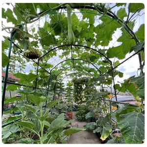 A-Frame Garden <b>Trellis</b> for Climbing Plant Outdoor - Product Image 5