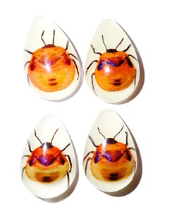 Cabujón de plástico con espécimen real de insecto floral, corte en forma de pera, parte superior de 33x22 mm, base plana brillante para manualidades y fabricación de joyas - Product Image 1