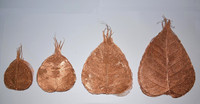 Gousses de fleurs séchées naturelles sur mesure à base de fleurs séchées naturelles idéales pour les fabricants de pots-pourri et de décorations florales