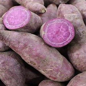 มันม่วงอูเบะออร์แกนิคธรรมชาติสดใหม่ ขนาด 5.5 ซม. มีสินค้าพร้อมส่ง จัดส่งรวดเร็ว และมีราคาขายส่ง - Product Image 2