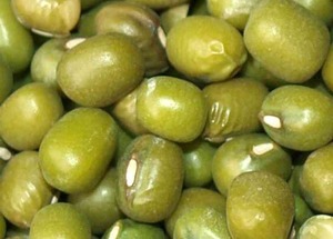 Wholesale Organic Green Mung <b>Beans</b> (Moong Dal Sprouts) Dried <b>Vigna</b> <b>Beans</b> Cowpea Inner Mongolia China Top Grade Bulk Packaging - Product Image 6