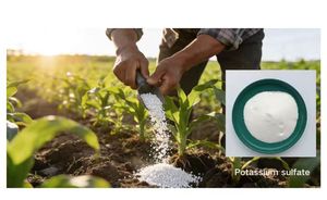 Fertilizzante al Solfato di Potassio di Grado Industriale Haorui Sheng, Granulare a Rilascio Rapido, Purezza 99% per Operazioni Agricole ad Alto Volume - Product Image 5