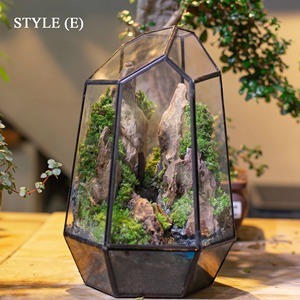 Terrarium décoratif en verre pour plantes d'intérieur, succulentes, mousse, décoration de table pour la maison et le bureau, et article cadeau, vente en gros depuis l'Inde - Product Image 2
