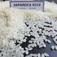 ข้าวญี่ปุ่นเวียดนาม - Product Image 3