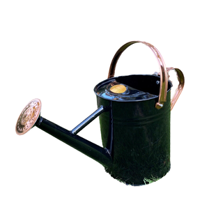 Cannette d'arrosage décorative en acier galvanisé, design vintage moderne, écologique et durable, pour la maison et le jardin - Product Image 1