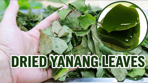Proveedor Confiable de Vietnam, Hojas Secas de Yanang, 500g, Envasadas al Vacío, para Restaurantes y Mercados Minoristas - Product Image 1