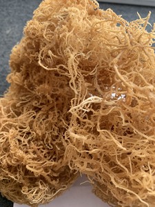 ซูเปอร์ฟู้ด - สาหร่ายทะเลแห้ง - โกลด์ดิบ, สาหร่ายมอสสีม่วง - สาหร่ายไอริชมอสแท้ 100% จากเวียดนาม / คุณลิมา - Product Image 1