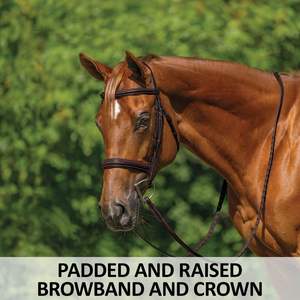 Cabezada Inglesa - Piezas de cuero crudo anudadas para las mejillas - Diadema anudada con borlas de crin de caballo - Precio al por mayor - Product Image 5