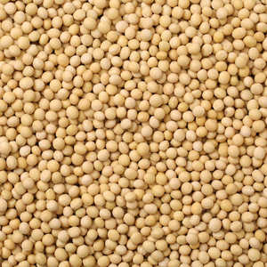 Petits pois blancs de haute qualité en vrac, frais et propres, prêts à être expédiés avec un fournisseur de confiance - Product Image 6