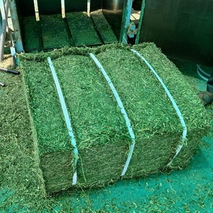 Foin d'alfalfa séché pour les fermes laitières et d'élevage, fourrage nutritif, bonne texture, arôme naturel, pour l'alimentation et l'usage agricole - Product Image 4
