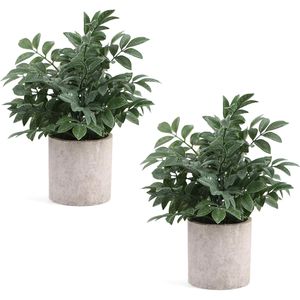 Set di 2 Piante Artificiali in Vaso Grigie, Piccole Piante Finte per Scaffali, Scrivanie, Casa, Fattoria, Tavolini da Caffè - Product Image 1