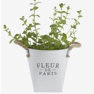 Ensemble de deux pots de fleurs en zinc de taille moyenne pour jardin et balcon, seau en zinc métallique personnalisé - Product Image 3