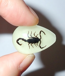 Cabochon Black Scorpion Pear Shape Cut <b>Top</b> 25x17 mm Glow Flat Bottom for Crafts and Jewelry Making - Product Image 5