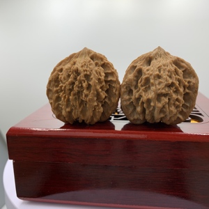 Galaxy Three-Ridge Walnut Raw Feng Shui, Adorno de Mano Coleccionable de Estilo Religioso Angelical, de Forma Ovalada, Cultivado Naturalmente en Concha - Product Image 6