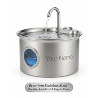 Fontaine à eau automatique en acier inoxydable de 2,6 L pour chats, distributeur d'eau électrique silencieux pour animaux de compagnie, fournitures pour petits animaux