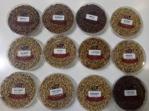 Macchina per la Torrefazione del Malto di Promalting - Product Image 6