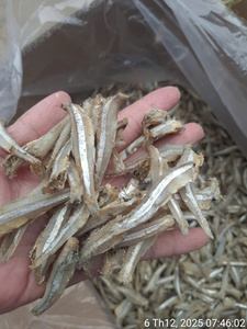 ปลาแอนโชวี่แห้ง 100% พรีเมียม ธรรมชาติ ผ่านกระบวนการอบแห้งแบบ FD และ BQF บรรจุภัณฑ์สุญญากาศ ยี่ห้อ VAN BACH TUNG เวียดนาม อายุการเก็บรักษา 12 เดือนขึ้นไป พร้อมรับประทาน - Product Image 3