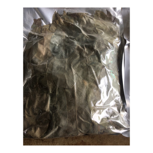 Hojas de Graviola Secas, Ingredientes Naturales de Agricultura Ecológica para Concocciones Herbales Relajantes, Exportadas por Proveedores en Vietnam - Product Image 6