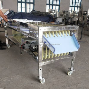 Máquina clasificadora de frutas rojas tipo pista multifunción comercial de alta eficiencia de 200kg, clasificador de cerezas, equipo de tamizado de aceitunas - Product Image 6