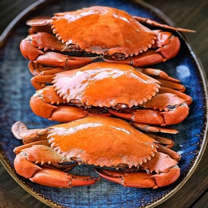 Cangrejo Rey Entero Congelado IQF para Restaurantes y Cocina Casera - Mercados de Mariscos, Sabor Fresco, Selección de Calidad, Suministro Confiable, Grado Alimenticio - Product Image 4