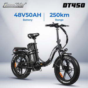 Chamrider DT450 Fabrication Vente en gros Gros Pneu Ebike Ecoride 48V Batterie Rétro Classique Vélo Électrique Cargo Bike <span class=keywords><strong>Livraison</strong></span> - Product Image 2