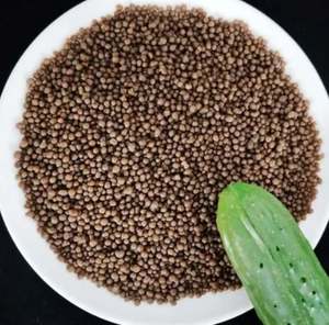 Fertilizante de Triple Superfosfato (TSP) |   Sudáfrica |   Acondicionamiento de Suelos Ácidos con Bajo pH |   Fósforo de Alta Disponibilidad |   Al por Mayor - Product Image 1