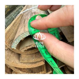 Meilleures ventes : Lattes de bambou écologiques, durables et flexibles pour la fabrication artisanale de cerfs-volants, vente en gros et exportation - Product Image 1