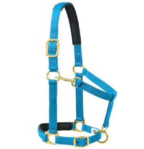 Harnais rose en nylon pour cheval avec rembourrage noir et boucles métalliques pour l'équitation et l'entraînement - Product Image 6
