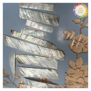 Perlas de Concha Delgadas al por Mayor para Instrumentos Musicales, Manualidades y Decoración - CARYLN - Product Image 2