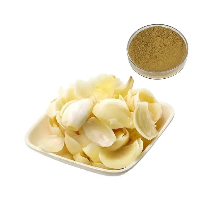 Natural Plant Extract Lily Bulb Flower Extract Best Price Lily Extract Powder