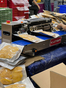 มะม่วงอบแห้งแบบนุ่ม ตรา Clean Label – มะม่วงหั่นชิ้นหวานธรรมชาติ ไม่มีสารปรุงแต่ง สำหรับขายส่ง - Product Image 2