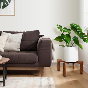Support de plante minimaliste en bois de teck avec piétement doré, diamètre 35 cm x hauteur 85 cm |   Fabriqué à la main à Moradabad - Product Image 3