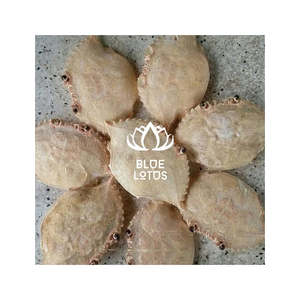 Cáscaras de Cangrejo Secas de Primera Calidad, Material de Conchas Marinas para Decoración de Restaurantes, Presentación de Alimentos y Procesamiento de Quitina - Product Image 1