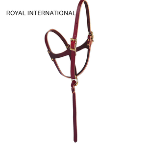 Cabestro de entrenamiento para caballos Royal International Premium de cuero genuino con correa de control |   Collarín Ajustable para Caballos de Establos Ecuestres - Product Image 1
