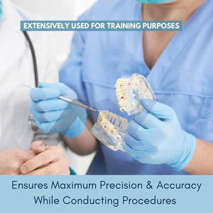 Sonde dentaire 23 en acier pour hygiéniste, avec fonction de détartrage et de dépose de tartre, instrument endodontique manuel - Product Image 2