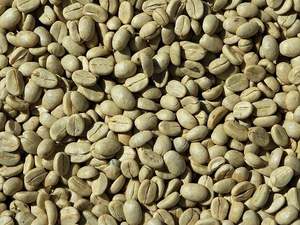 เมล็ดกาแฟโรบัสต้าออร์แกนิกแบบเม็ด ขนาด 18 ผลิตในเวียดนาม คุณภาพสูง ส่งออกโดยตรง ความเสียหายต่ำ - Product Image 4