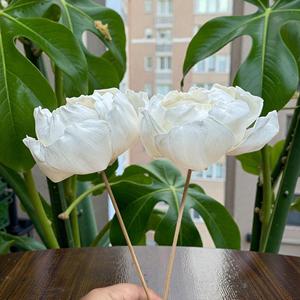 ดอกไม้ไม้โซล่าสีขาวรูปดอกคามีเลียทำมือแบบยั่งยืน ขนาด 8.5 ซม. พร้อมก้านไฟเบอร์จากพืชเซสบานียา จากประเทศไทย - Product Image 3