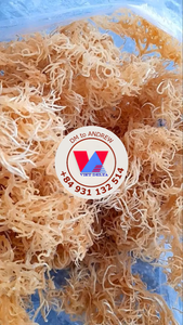 MUSGO MARINO MORADO SECADO AL SOL, GRACILARIA CRUZA, EXTRACTO DE ALGA ESPINOSA DE GRADO ALIMENTICIO PARA GOMITAS, MÁS VENDIDO - Product Image 5