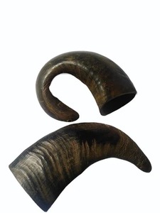 Juguete Masticable Premium de Cuerno de Búfalo Natural para Perros con Cuerda Ecológica Incluida, Duradero, Interactivo, Estilo Animal, para la Salud y el Placer de tu Mascota - Product Image 4