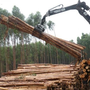Gabon Origin African Hardwood Timber Bulk Wholesale Supplier for Importers Exporters <b>Builders</b> and Traders - Product Image 2