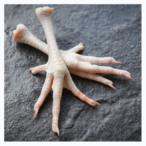 Alas de pollo al por mayor, pollo congelado / Patas de pollo congeladas - Product Image 6