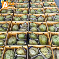 Premium verse Thaise Monthong Durian 100% puur natuurlijke zoetheid romig 500g 14 dagen houdbaarheid gekoelde opslag klaar voor verzending
